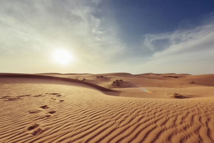 Footprints in the sand of a vast desert under a bright low sun